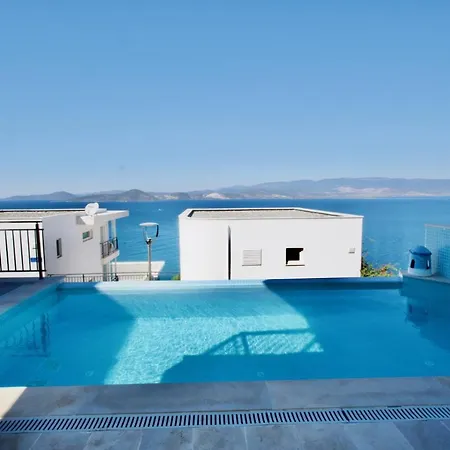 Villa With The Pool And Sea View, As You Can Have A Pleasant Time On Your Balcony Bogazici